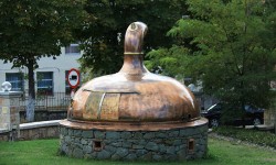IMG_3411